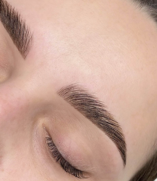 Lash & Brow Lift Training